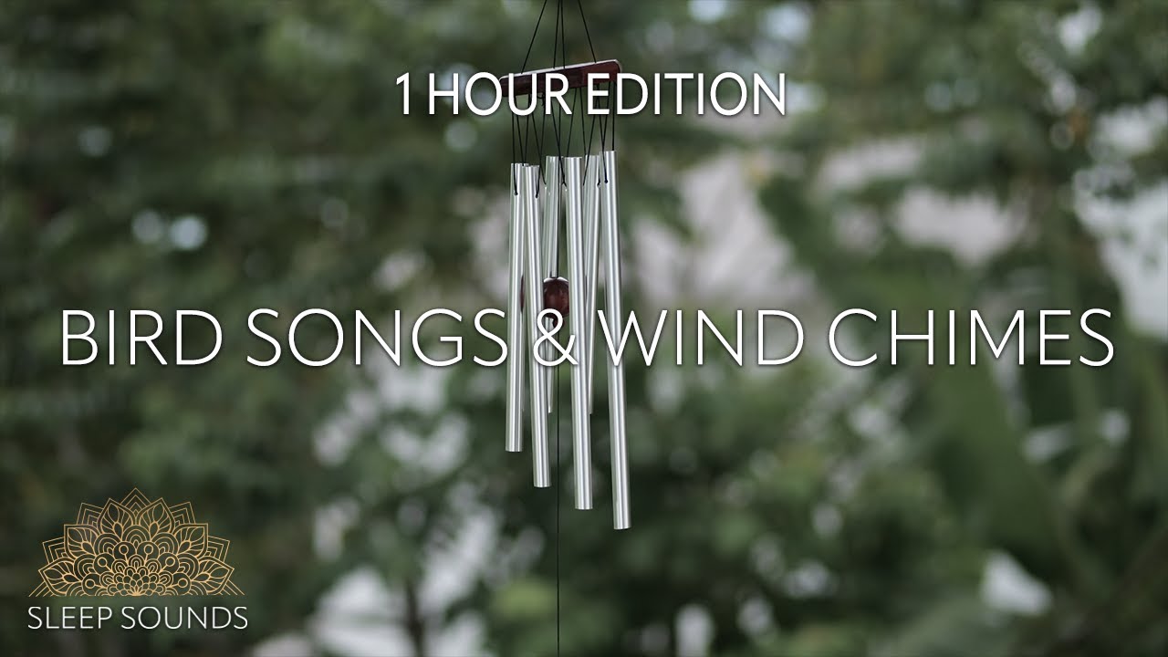 Bird Songs & Wind Chimes • 1hr • Sleep • Study • Focus • Meditation • Relaxation Bird Songs & Wind Chimes • 1hr • Sleep • Study • Focus • Meditation • Relaxation
