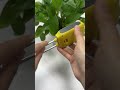 CCOWAY Portable Easy-to-read Soil Tester NPK Temperature Soil Tester