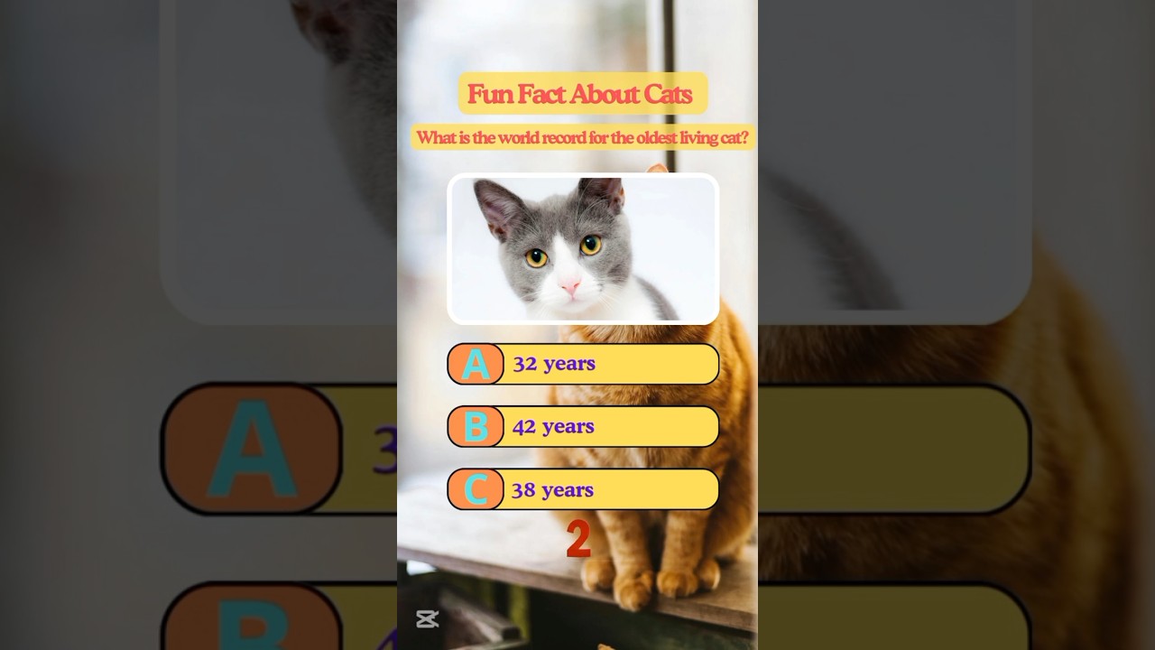 Meet the Oldest Cat in the World