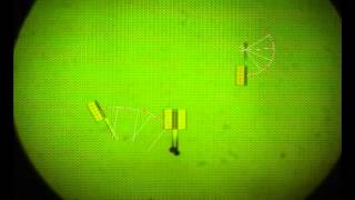 Planar Microassembly Experiment