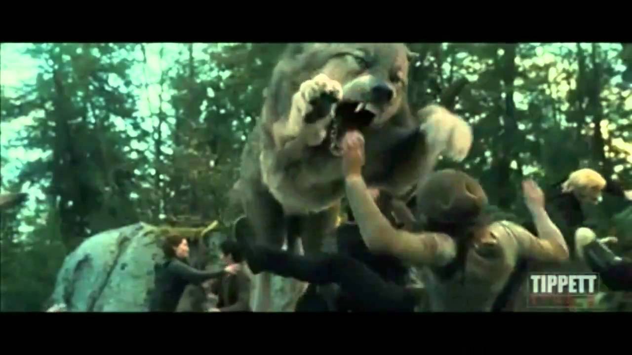 twilight wolves - its my life