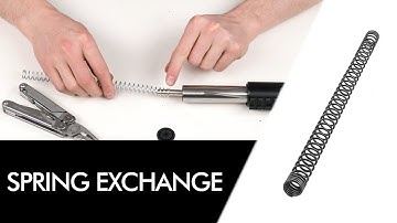 SSG10 Spring Change Guide