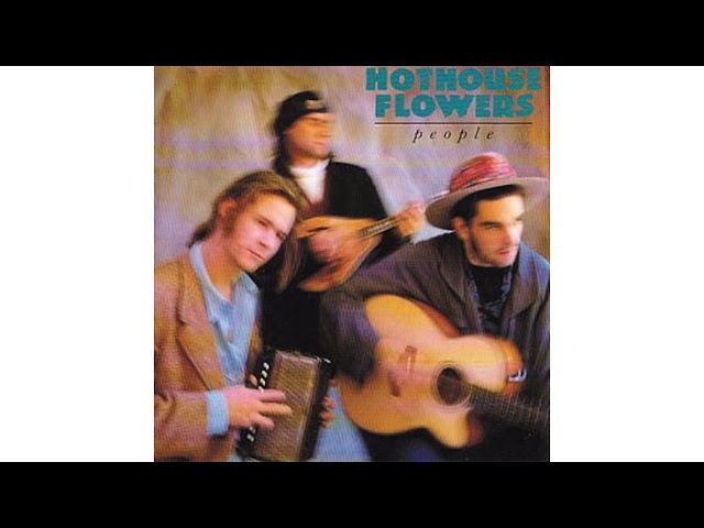 HOTHOUSE FLOWERS - I'M SORRY