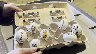 egg 6
