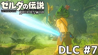 ゼルダの伝説ブレスオブザワイルド　DLC＃７【光り輝くマスターソード】