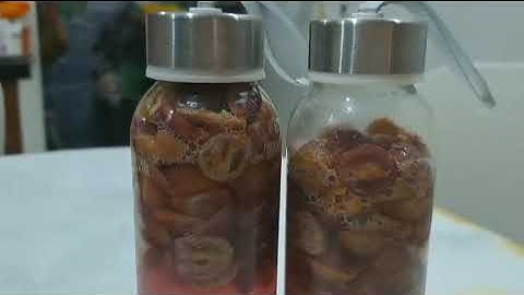 Giải thích ảnh hưởng của chất xúc tác đến tốc độ phản ứng!