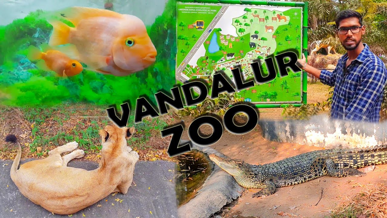 VANDALUR ZOO || ZOOLOGICAL PARK || TAMIL NADU || INDIA || TAMIL VLOG