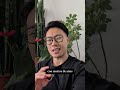 La sombra japonesa