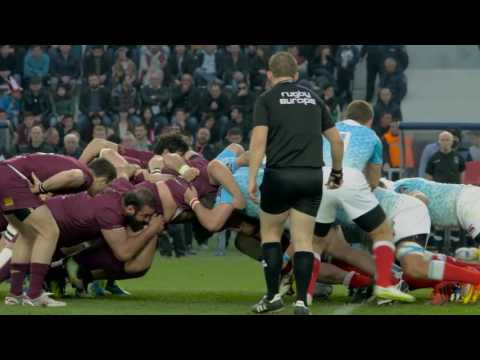 ბორჯღალოსნები