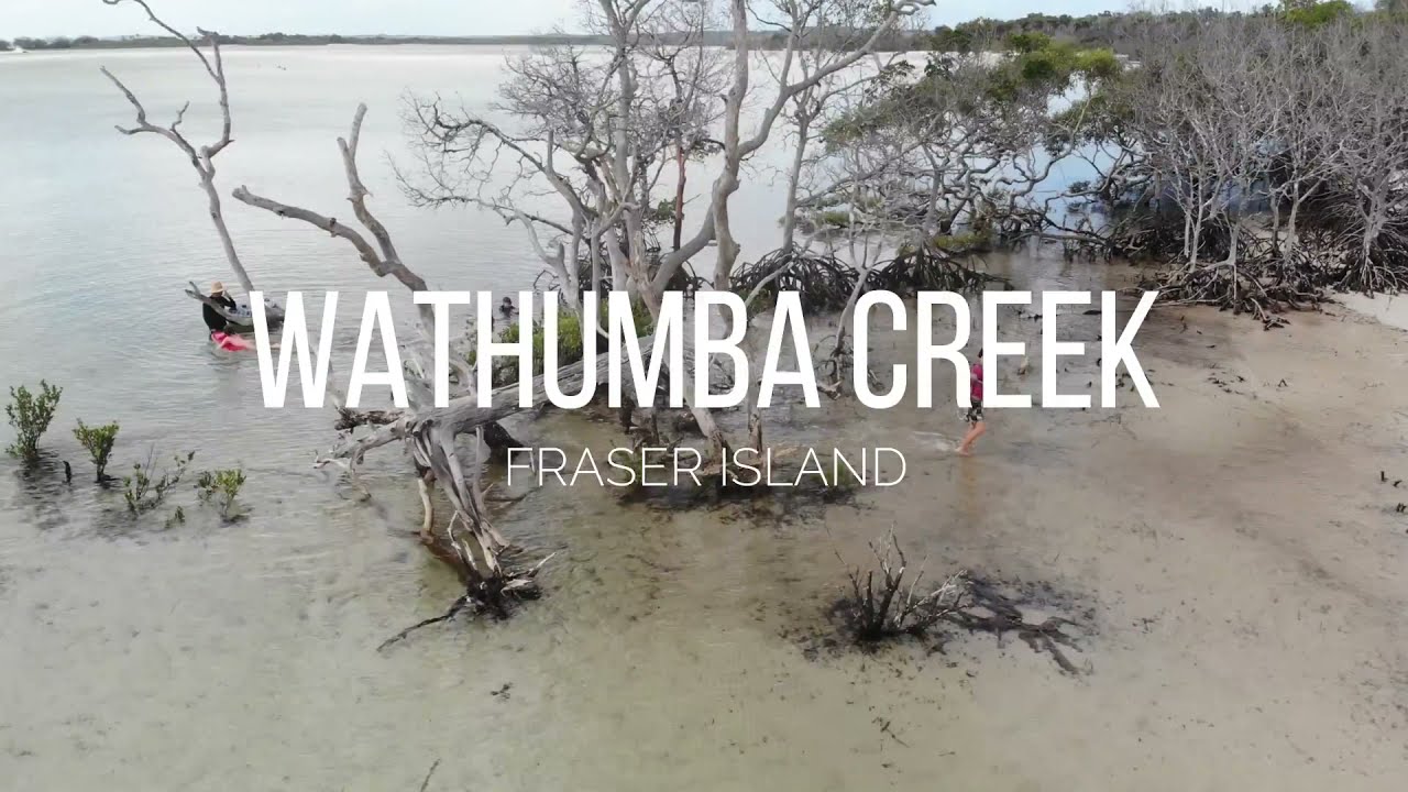 Wathumba Creek Fraser Island (West Coast Perfection!)