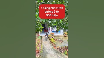 Quá ngộp chủ bán rẻ nhà vườn cặp kênh tại Cái Bè, Tiền Giang #shorts