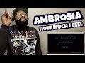 Ambrosia - How Much I Feel | REACTION