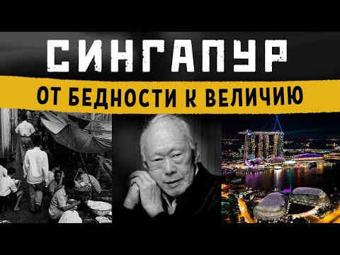 Сингапур транзитом 2023! Правила посещения, штрафы. Что посмотреть за 2 дня?