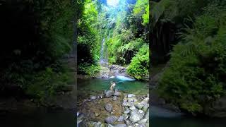 banyu biru awet muda sejernih kaca #shorts #poncokusumo #banyubiru #banyubiruawetmuda