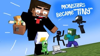 "MONSTERS became TINY!" : OH NO TEACHER!! : Monster School Minecraft Animation