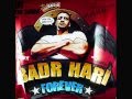 Badr Hari music - Bad Boy, Goldenboy