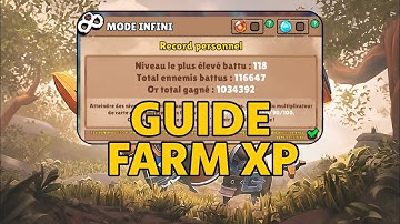 Big Helmets : Heroes of Destiny - GUIDE FARM XP