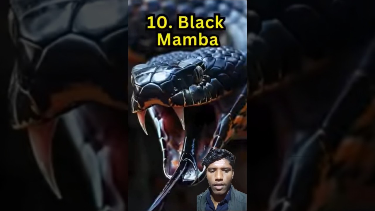 😁 wait for and 😁