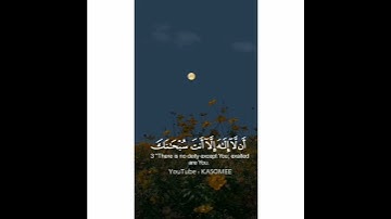 حالات واتس اب قرآن 🥺♥️ || القارئ ماهر المعيقلي 🥀✨