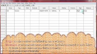 การใช้โปรแกรม SPSS ตอนที่ 1