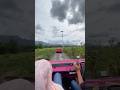 VW safari | holiday #shorts #shortvideo #shortsfyp #shortsgermany #vwsafari #volkswagen #vw #holiday