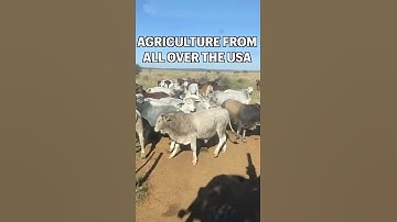 Spotlight Ag short introduction video