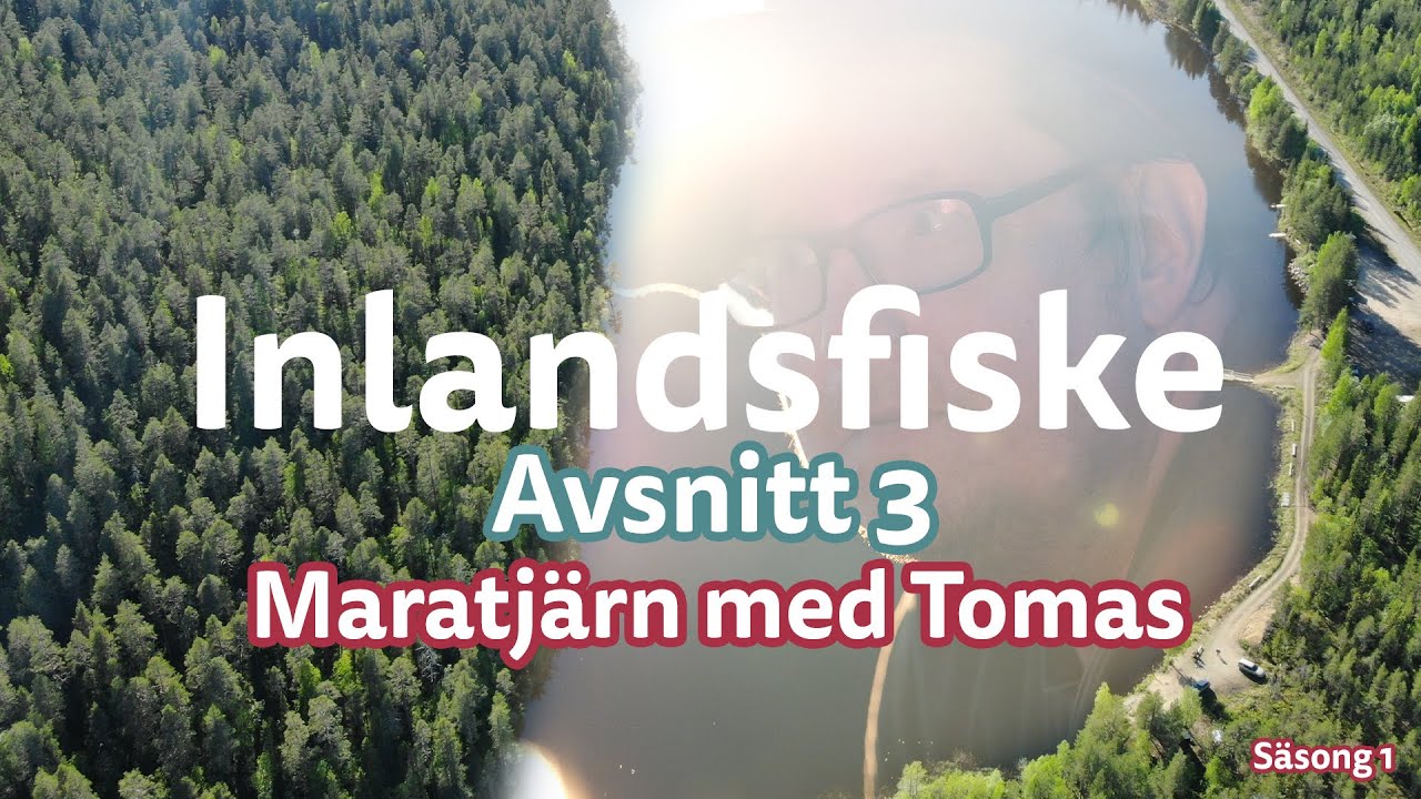 Inlandsfiske | Maratjärn med Tomas | Avsnitt 3