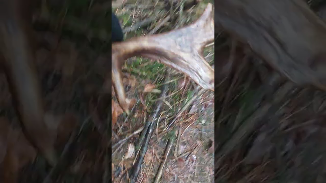 Połamany ale jest zrzuty 2026 ułamany podczas walki zrzut Daniela 22 . 02.2026