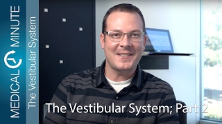 KC Oliver - The Vestibular System Part 2