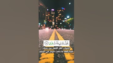 #القارئ_ماهر_المعيقلي #quran #tiktok #trending #قرآن #لايك #egzonibrahimi #palestine #قرآن_كريم