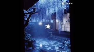 ★amo essa musica★