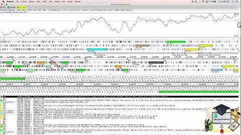 Visualising Genome Annotation In Artemis