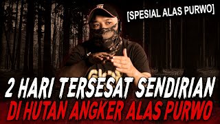 (EKSKLUSIF) INI RASANYA BERTAHAN HIDUP DI HUTAN ANGKER ALAS PURWO !! KISAH MISTIS BANYUWANGI