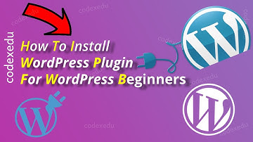 How To Install WordPress Plugin For Beginners [In Hindi] | Codex Edu