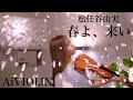 春よ、来い/松任谷由実【Violin Cover】