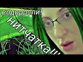 Нитчатка.Победить нельзя оставить!