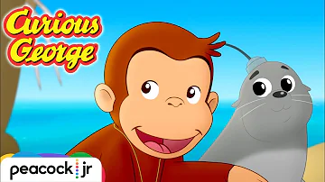 Rescue on Seal Island! | CURIOUS GEORGE CAPE AHOY