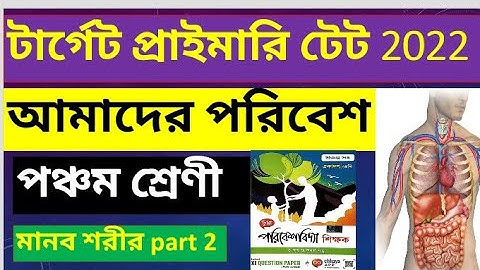 আমাদের পরিবেশ। পঞ্চম শ্রেণী। Class V/ Evs For Primary Tet