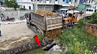 Satisfying Heavy Equipment Work – Soil Unloading and Dozer Pushing Start The Project