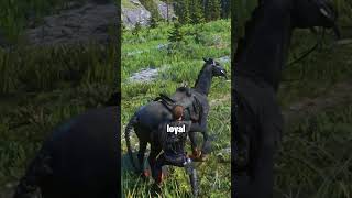 Celebrity 3 Interesting Facts You Probably Don't Know about RDR2  #rdr2 #reddeadredemption2 Profile