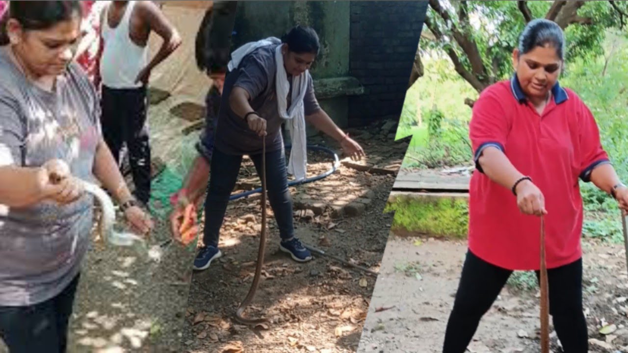 BHAVNA PATEL MO 9328097271 DIST VALSAD ATPO TUKWADA SNAKE RESCUER bhavna-patel-mo-9328097271-dist-valsad-atpo-tukwada-snake-rescuer
