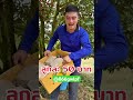สนใจสั่งซื้อทุเรียแอดLINEมานะครับ @866gwlpf #ทุเรียน #ai #ทุเรียนจันทบุรี