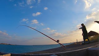 石垣一文字で5キロオーバーの魚を釣り上げた。【石垣島釣り遠征３話】