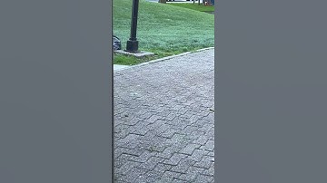 Have this random video that I recorded in May for no reason. (I want this out of my camera roll 😭)