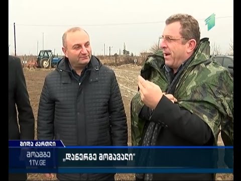 დანერგე მომავალი - შიდა ქართლში 365 ჰა მიწის ფართობზე ახალი ხეხილის ბაღები გაშენდება