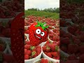 ima strawberry