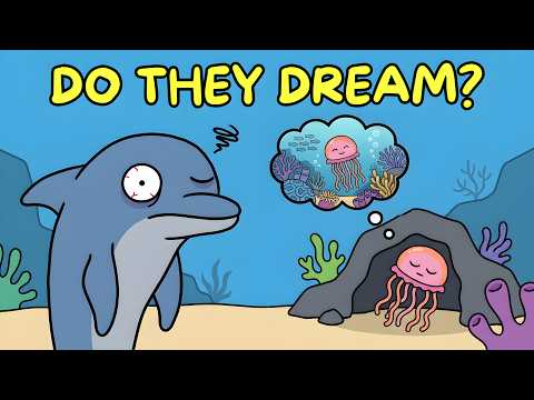 Do Ocean Creatures Dream Like Humans?