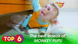 Monkey baby: Top 6 best videos of Monkey PUPU...