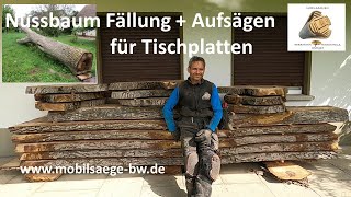 Nussbaum Holz für Tischplatten  der Anfang