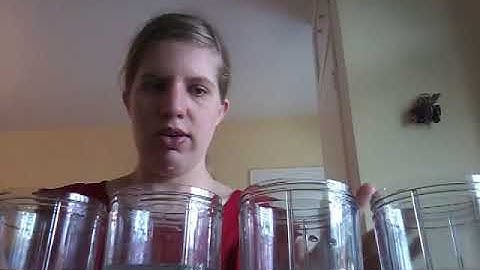 Fun Science experiment! Floating grapes?!